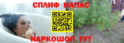крисы Беслан