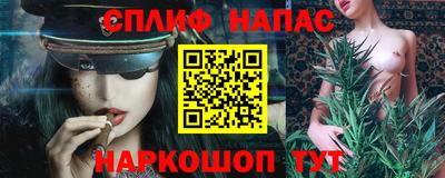 крисы Беслан