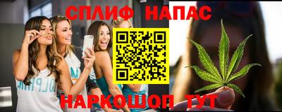 крисы Беслан