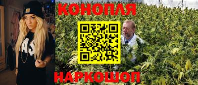 крисы Беслан