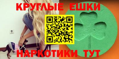 крисы Беслан