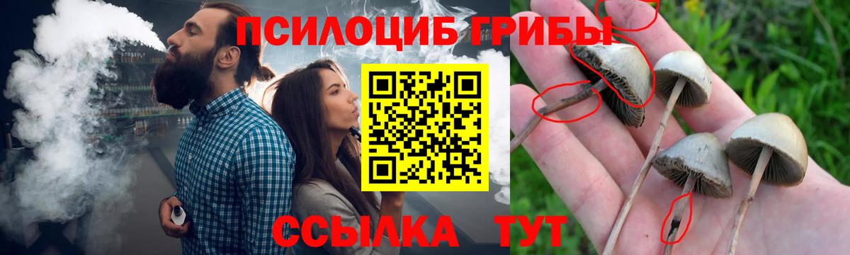 Галлюциногенные грибы Psilocybine cubensis  Вход с VPN  Псилоцибиновые грибы Psilocybe  Калач-на-Дону 
